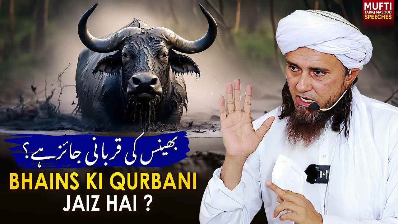 Bhains Ki Qurbani Jaiz Hai   | Mufti Tariq Masood Speeches